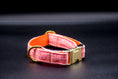 Bild in Galerie-Betrachter laden, Cavaro Barkel Halsband & dreiteilige Hundeleine - Happy Orange

