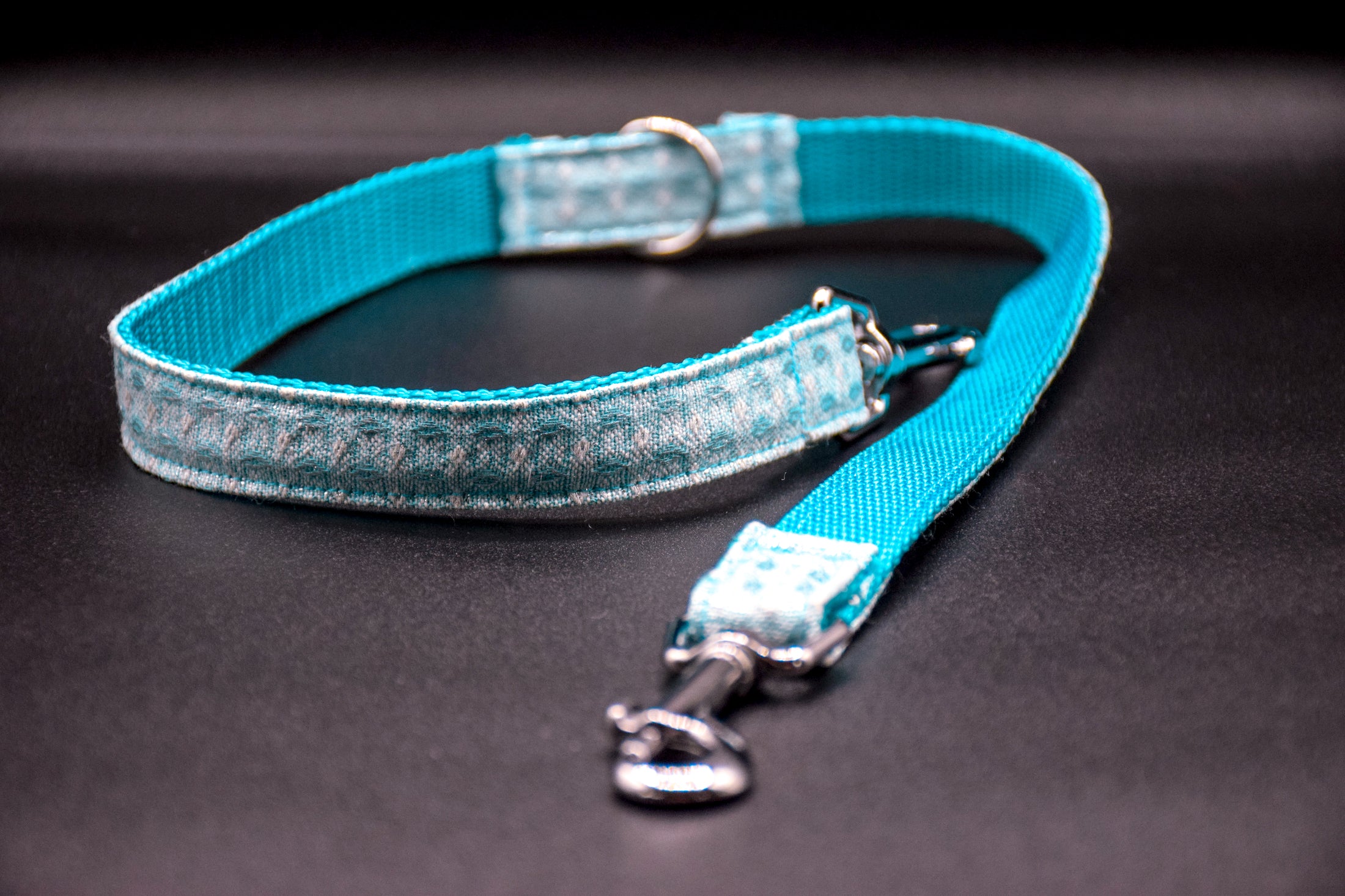 Cavaro Barkel Halsband & dreiteilige Hundeleine – Nordic Ice