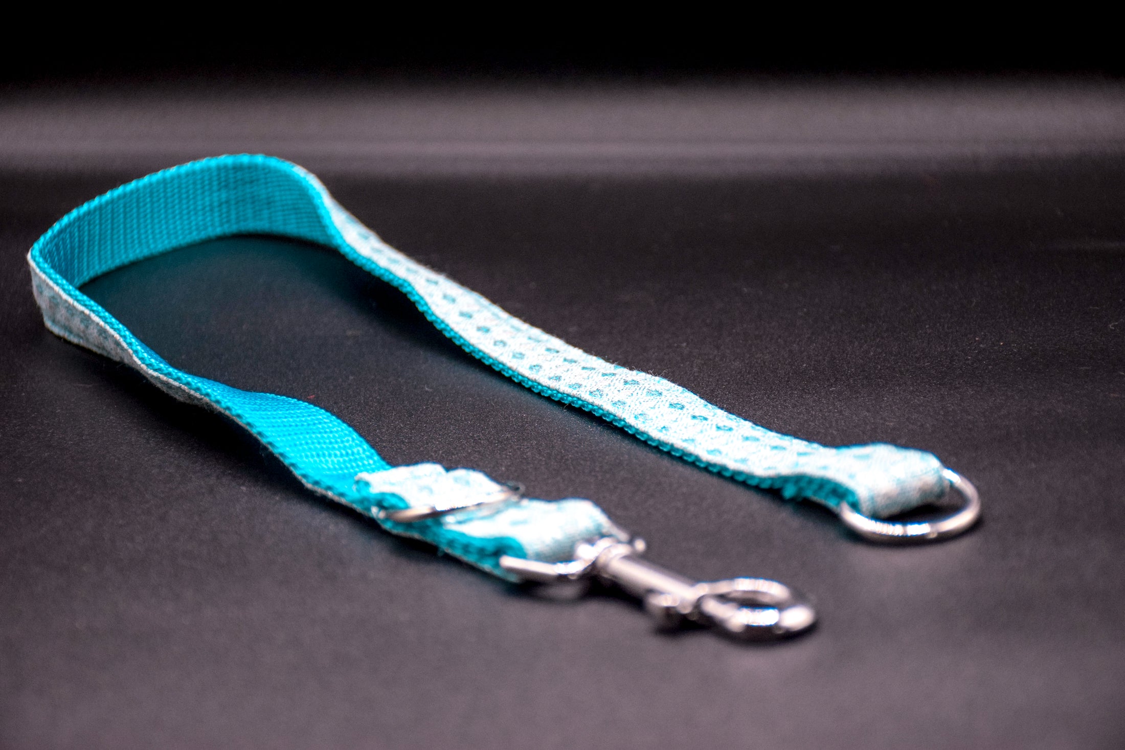 Cavaro Barkel Halsband & dreiteilige Hundeleine – Nordic Ice