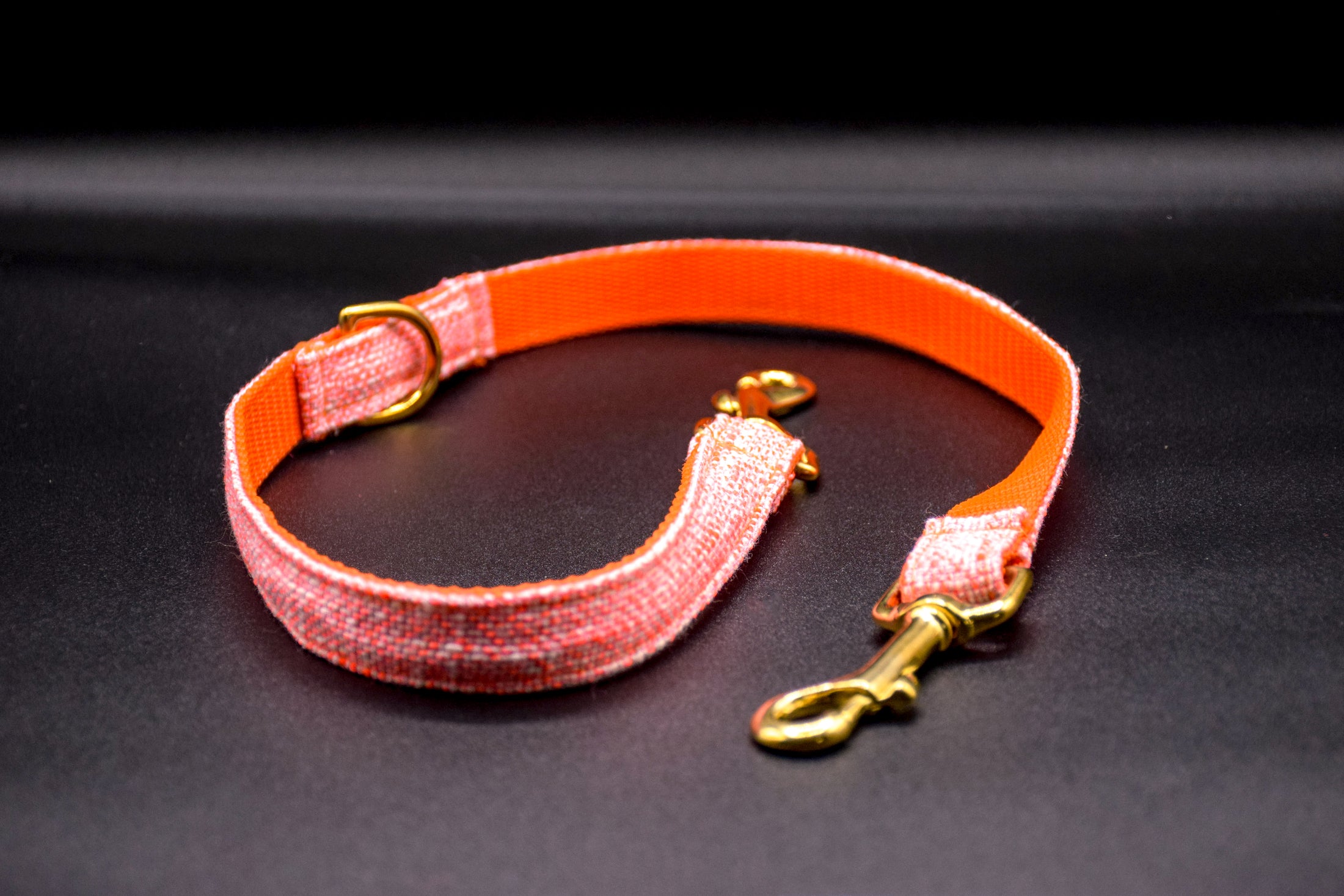 Cavaro Barkel Halsband & dreiteilige Hundeleine - Happy Orange