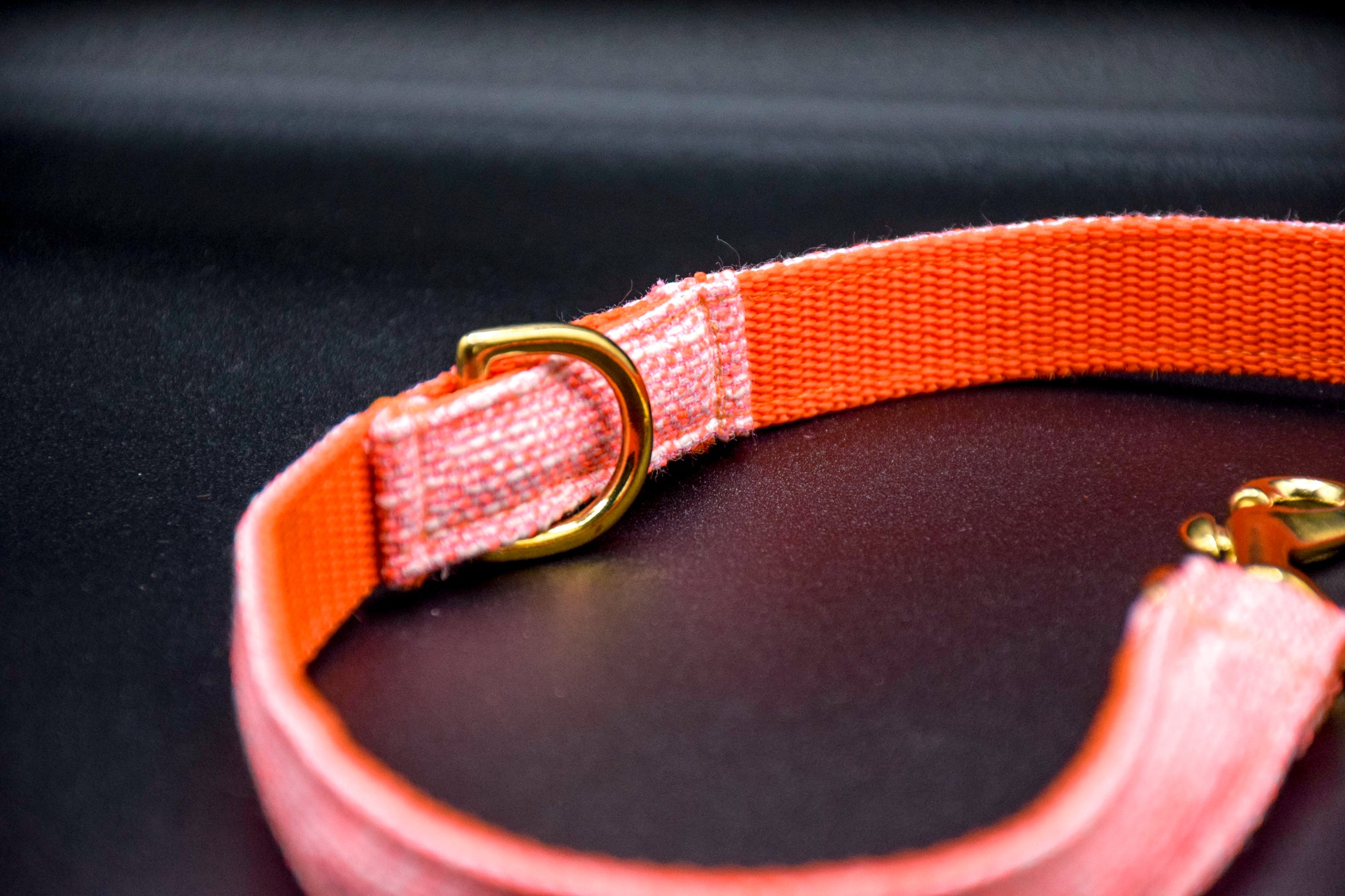 Cavaro Barkel Halsband & dreiteilige Hundeleine - Happy Orange