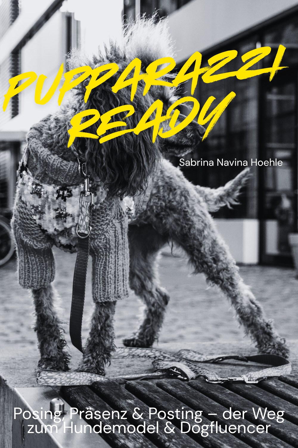 Pupparazzi Ready – Der ultimative Guide für Hundemodels & Dog Content Creator