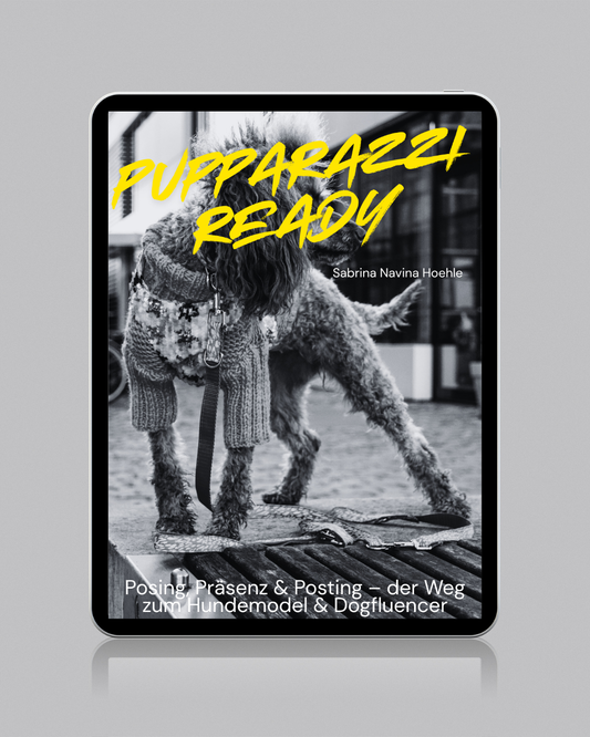 Pupparazzi Ready – Der ultimative Guide für Hundemodels & Dog Content Creator